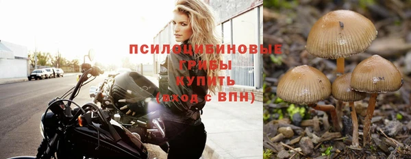 прущий лед Нефтекумск
