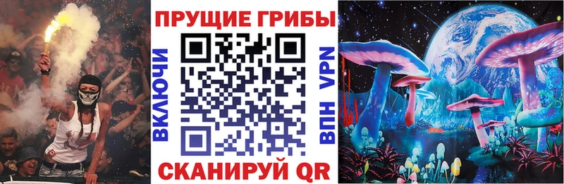Галлюциногенные грибы Psilocybine cubensis  MEGA ONION  Новопавловск  закладки 